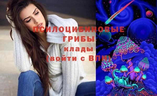 стафф Горно-Алтайск