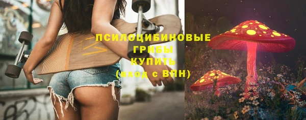 стафф Горно-Алтайск